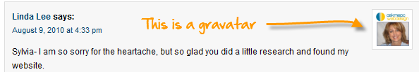 what is a gravatar?